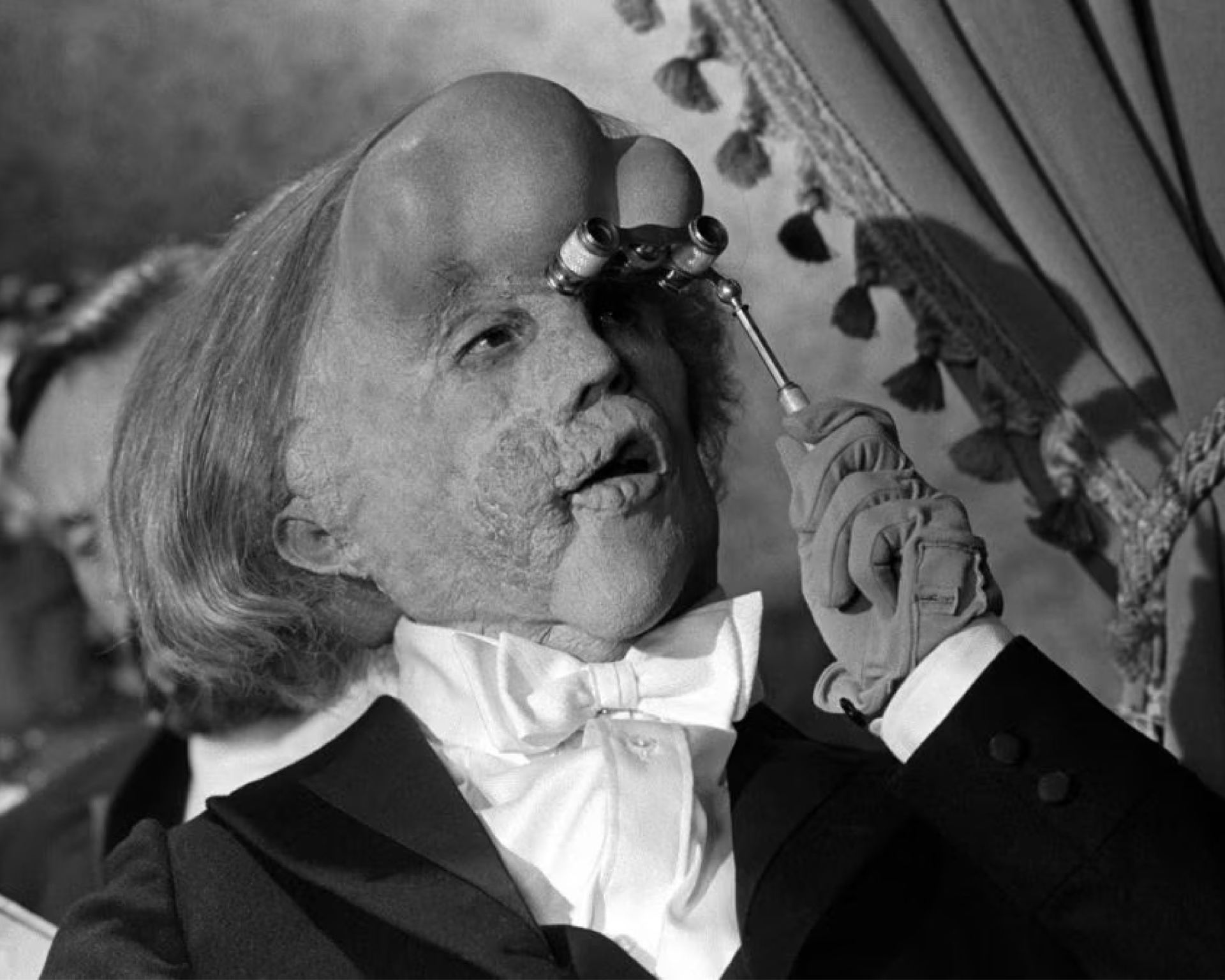 The Elephant Man by David Lynch