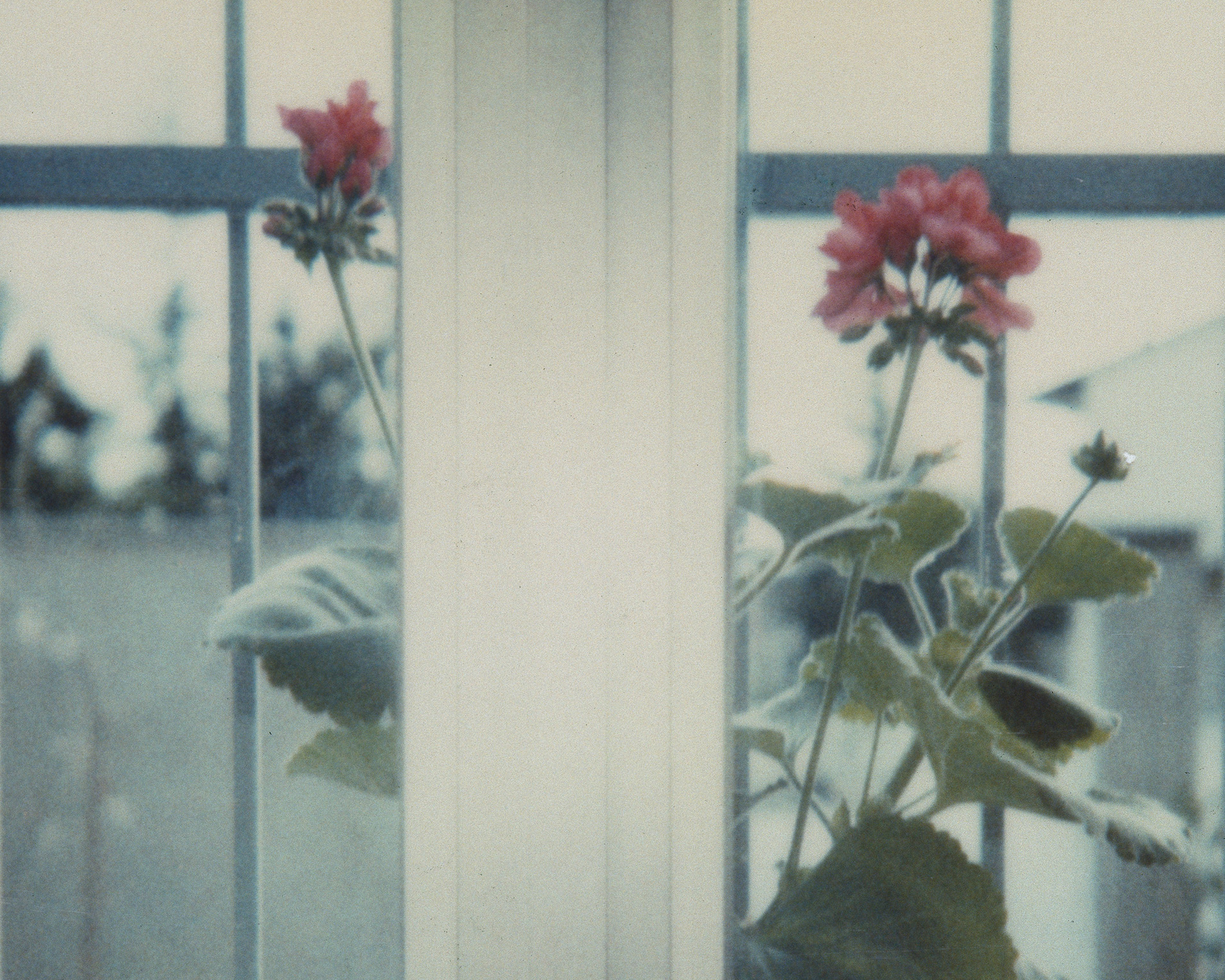 Luigi Ghirri, Modena (1980), dettaglio. Courtesy Eredi Luigi Ghirri