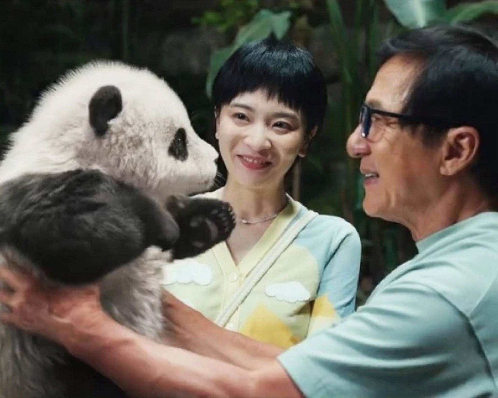 Panda Plan di Luan Zhang