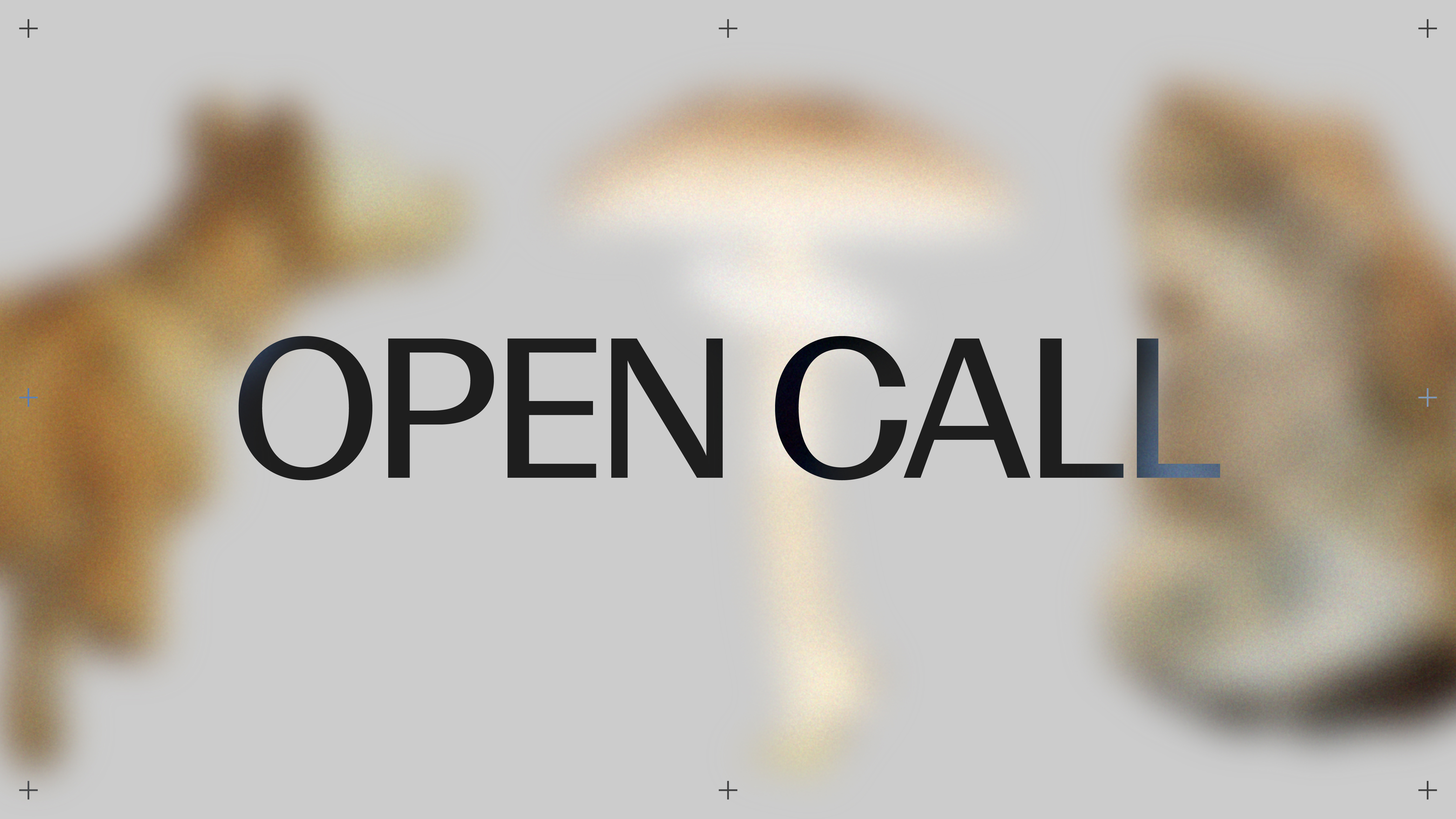 Call per artiste, artisti, curatrici e curatori under 36