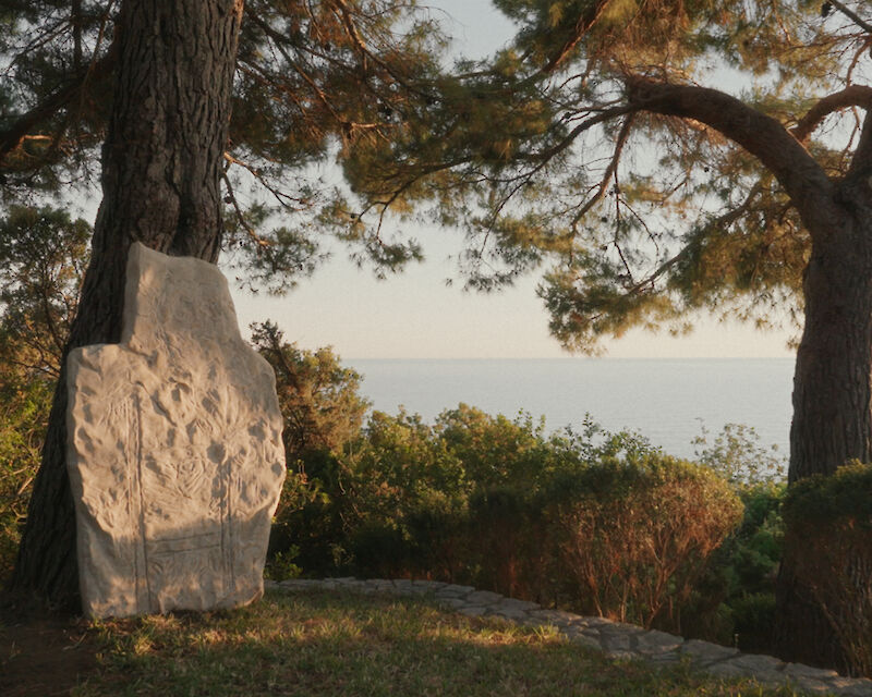 Marco Bagnoli. Radici nel cielo (2025). Still dal film