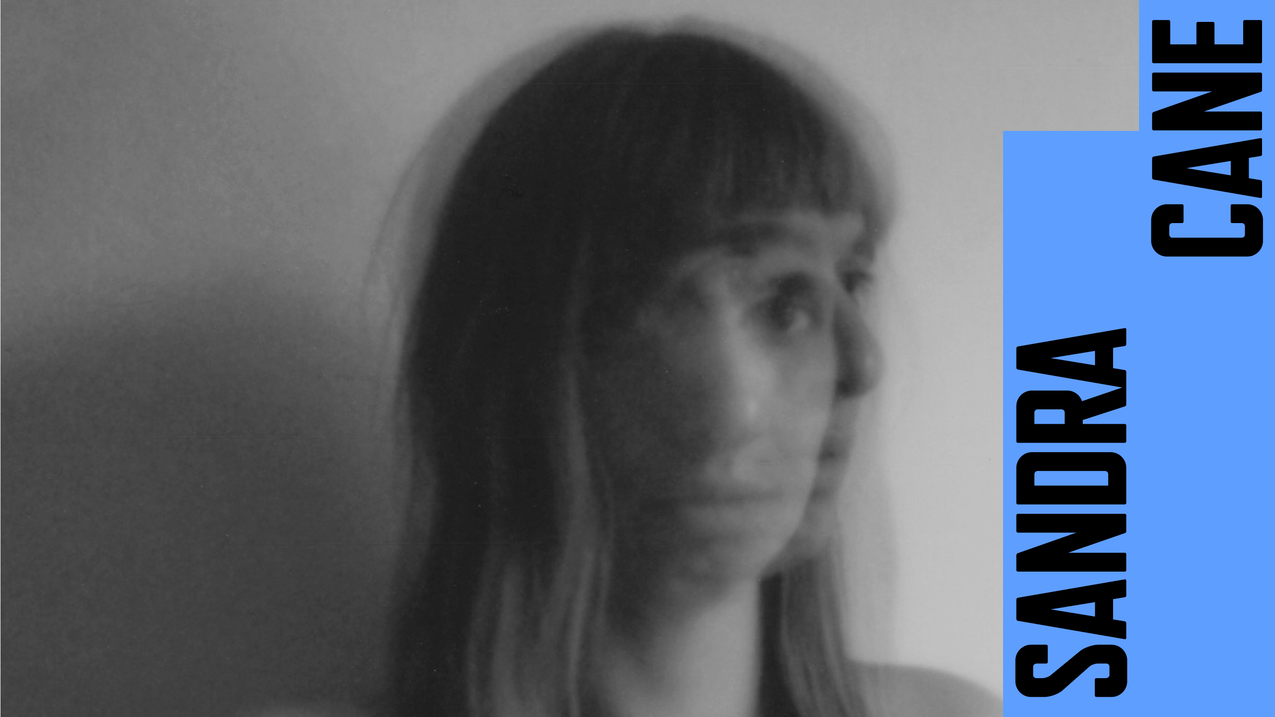 Sandra Cane, ph. Daria Persia