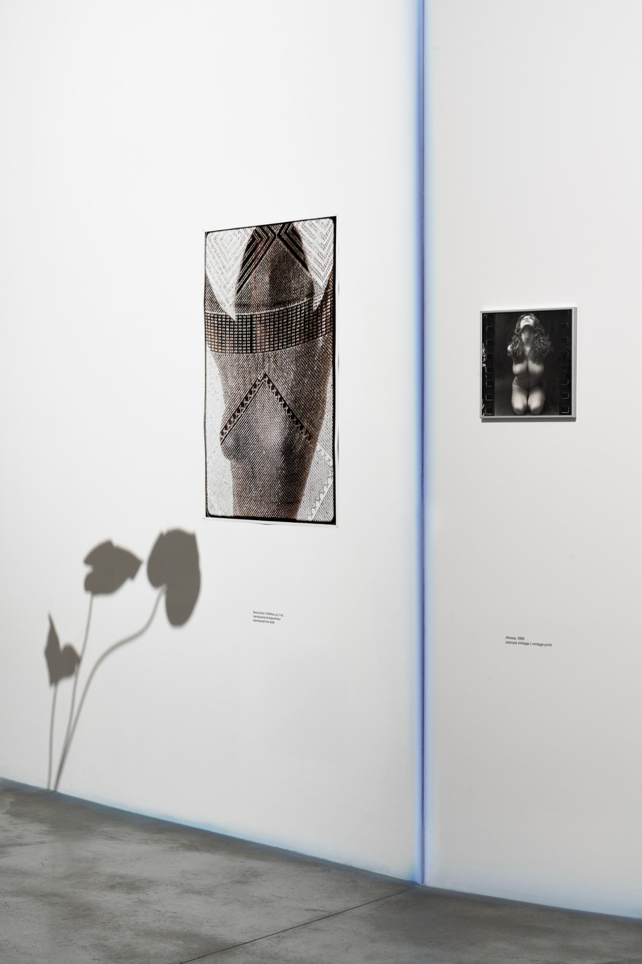 Verita Monselles. CARNALE, Centro Pecci, Prato. Installation view, ph. Alessandro Saletta e Agnese Bedini, DSL Studio