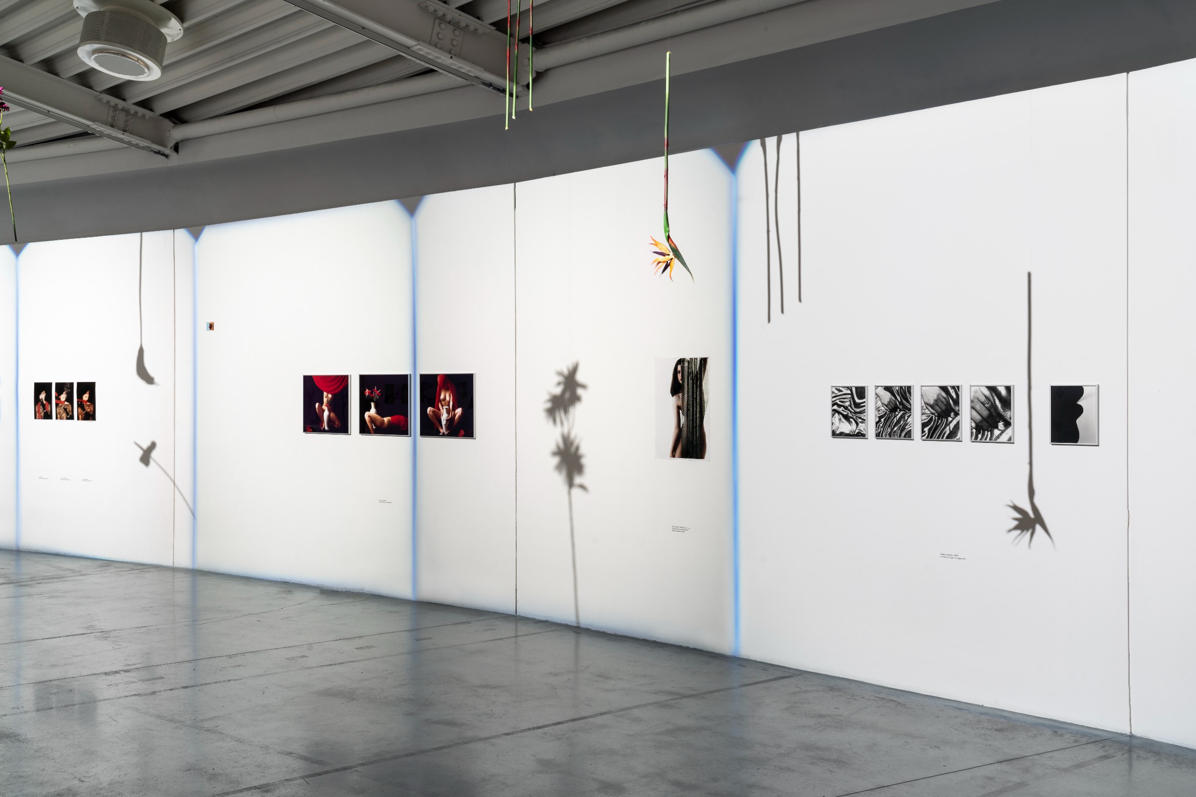 Verita Monselles. CARNALE, Centro Pecci, Prato. Installation view, ph. Alessandro Saletta e Agnese Bedini, DSL Studio