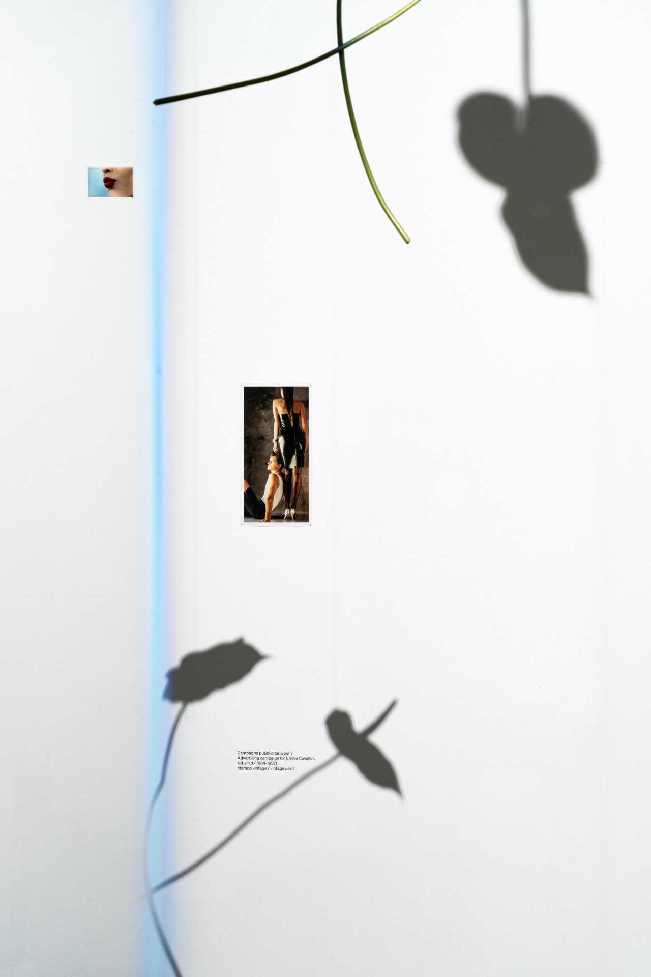 Verita Monselles. CARNALE, Centro Pecci, Prato. Installation view, ph. Alessandro Saletta e Agnese Bedini, DSL Studio