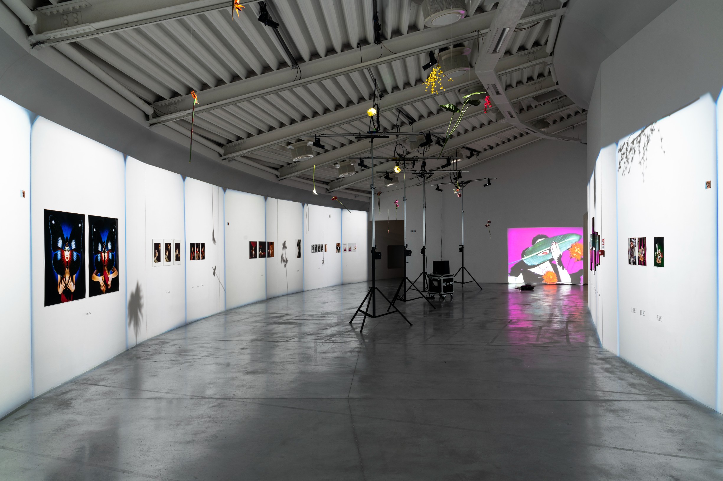 Verita Monselles. CARNALE, Centro Pecci, Prato. Installation view, ph. Alessandro Saletta e Agnese Bedini, DSL Studio