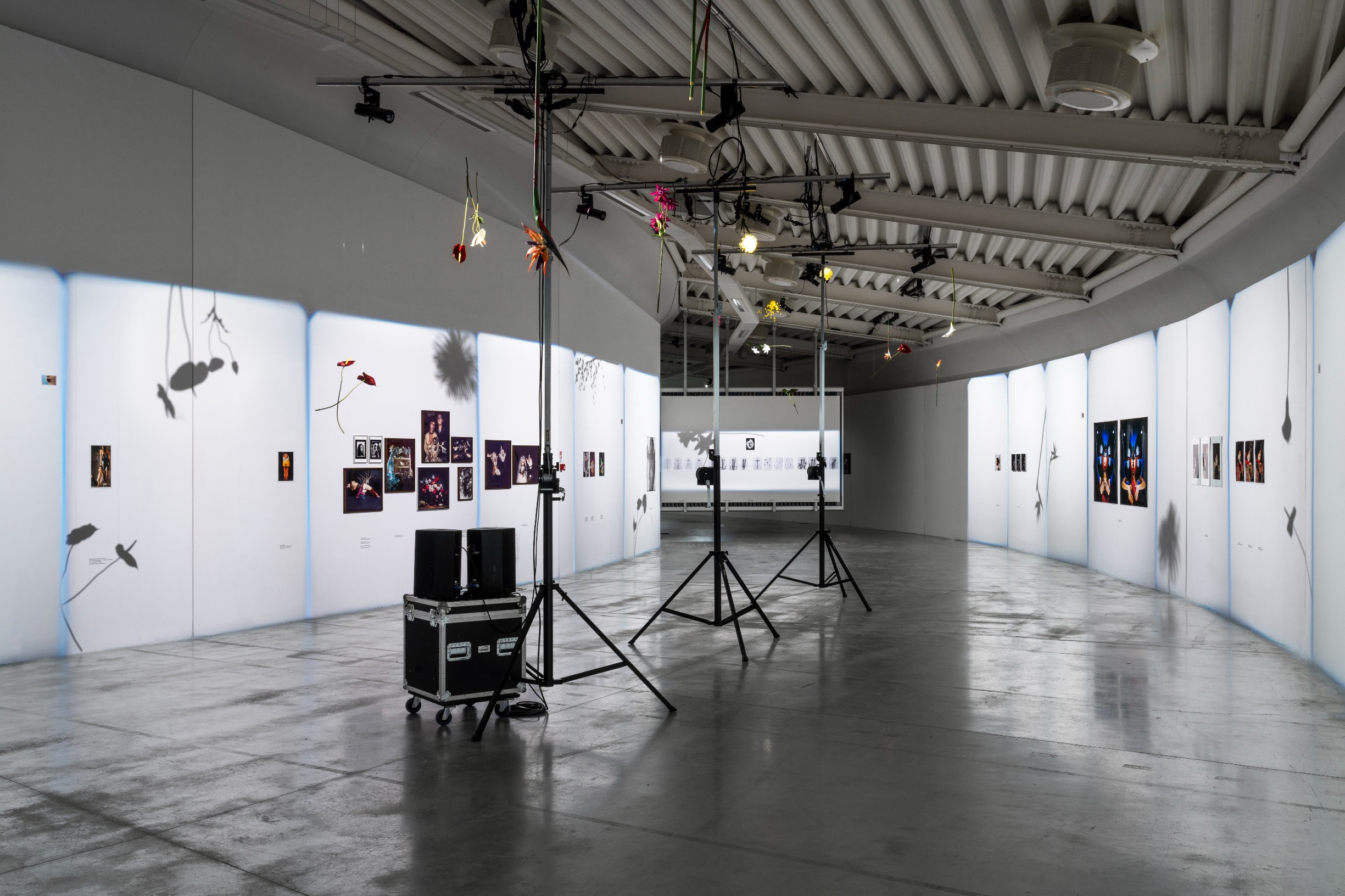 Verita Monselles. CARNALE, Centro Pecci, Prato. Installation view, ph. Alessandro Saletta e Agnese Bedini, DSL Studio