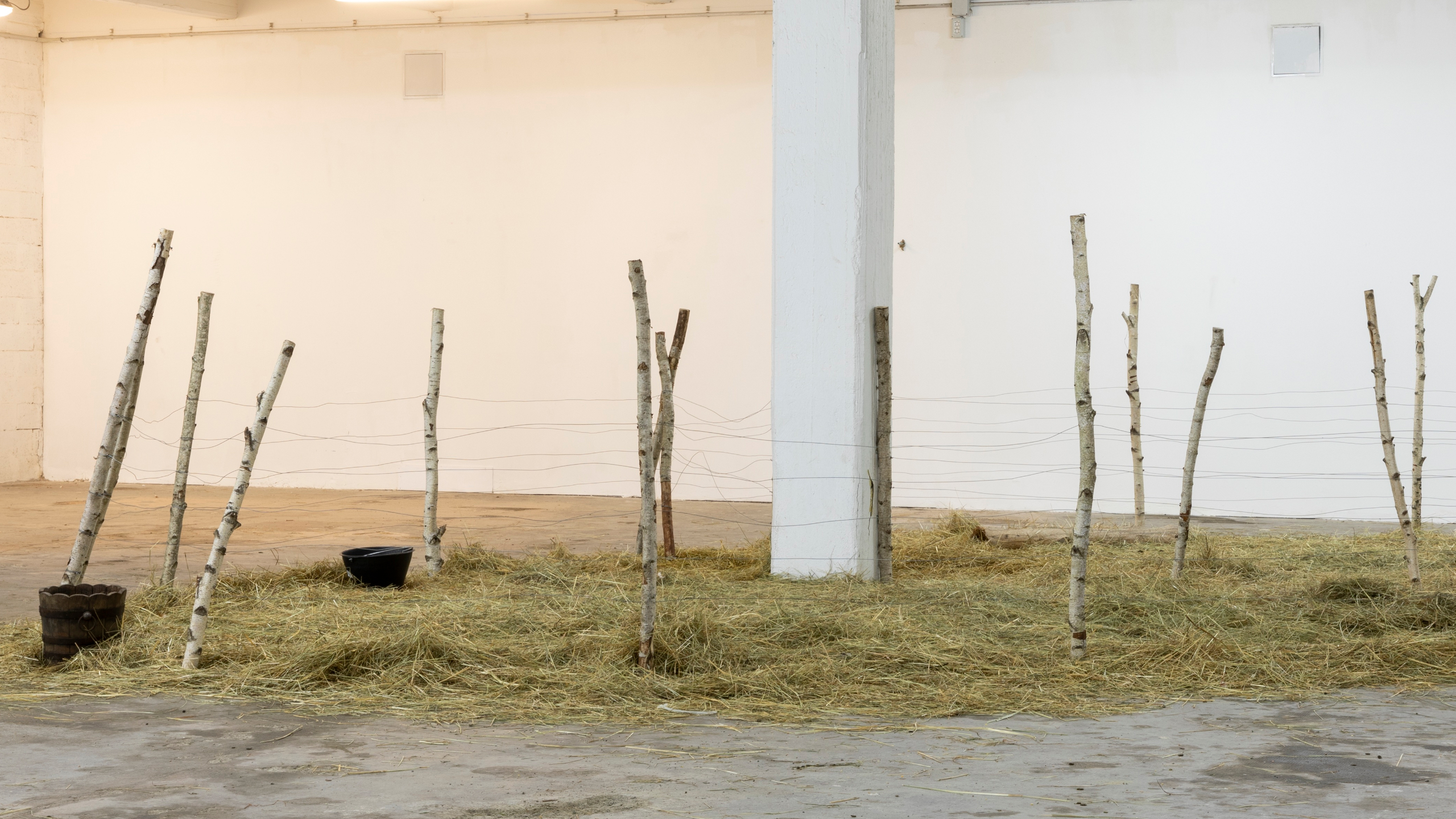 Alex Ayed, Untitled (fence), 2021. Legno di betulla, fieno, cavo di metallo. Dimensioni variabili. Transumanza, ZERO…, Milano, 2021. Ph. Roberto Marossi