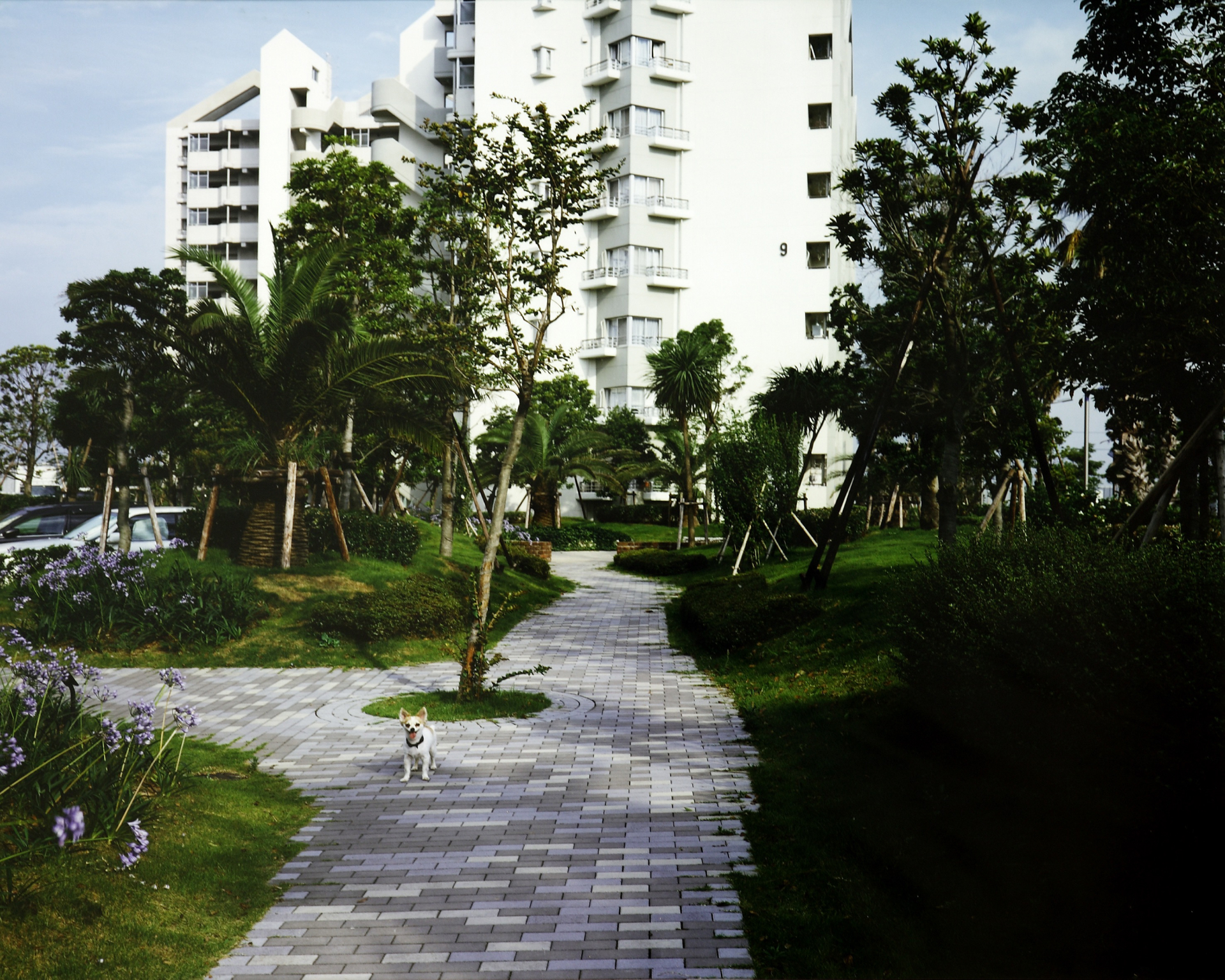 Takashi Homma, Tokio Suburbia: Urayasu Marina East 21, Chiba, 1995-1998