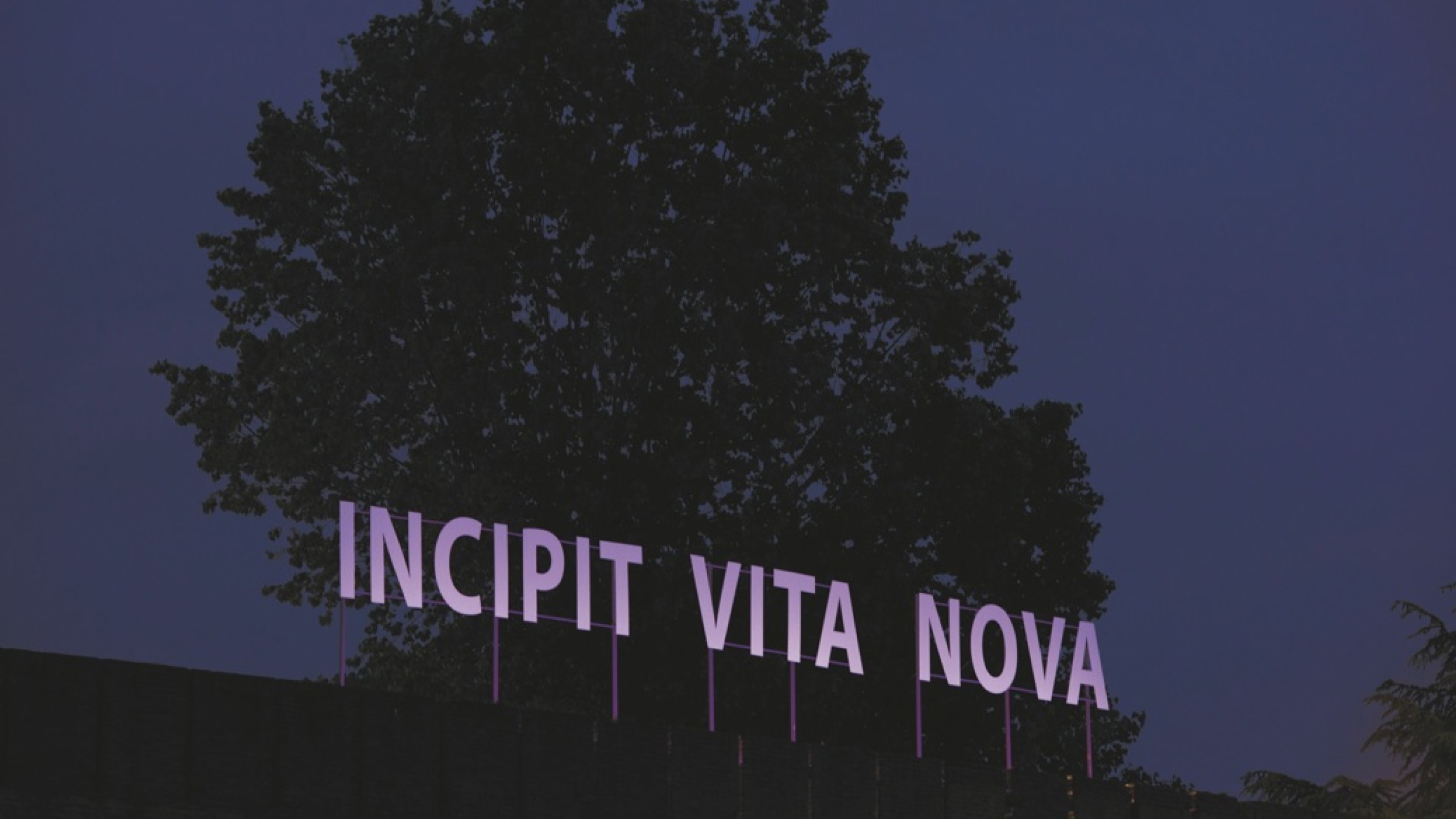 Vittorio Corsini, Incipit Vita Nova, 2013