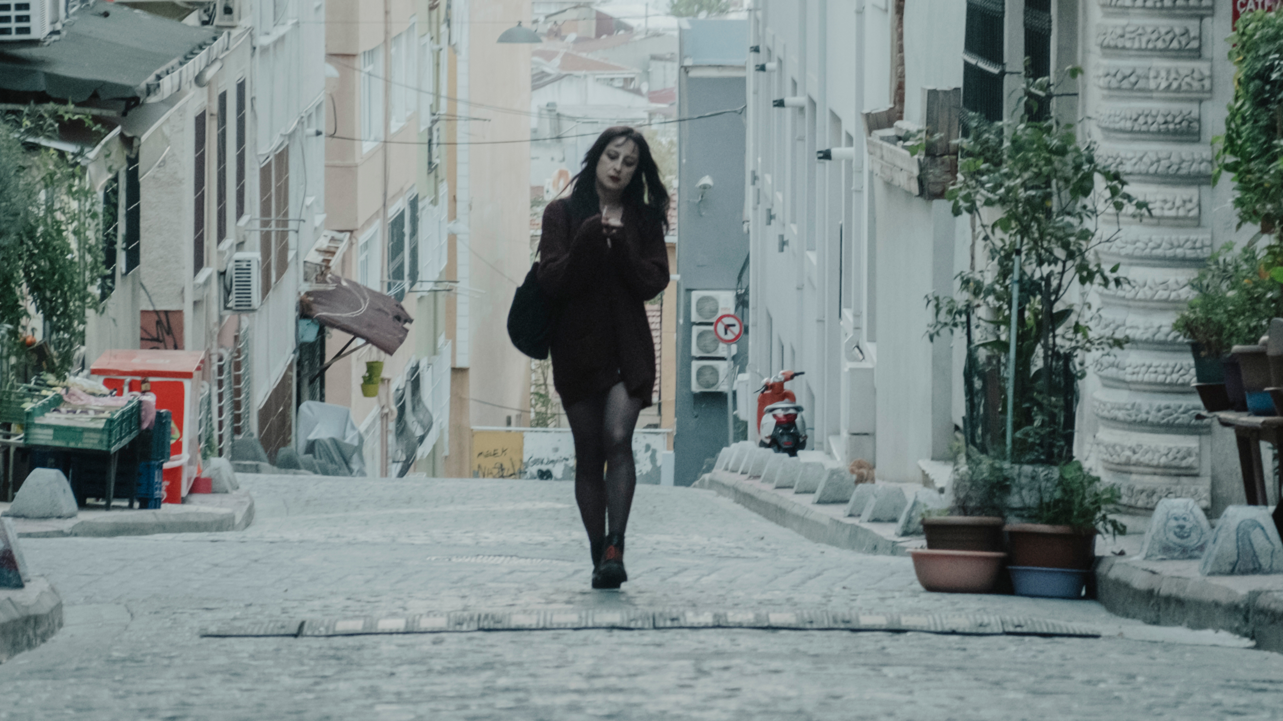 Crossing Istanbul di Levan Akin