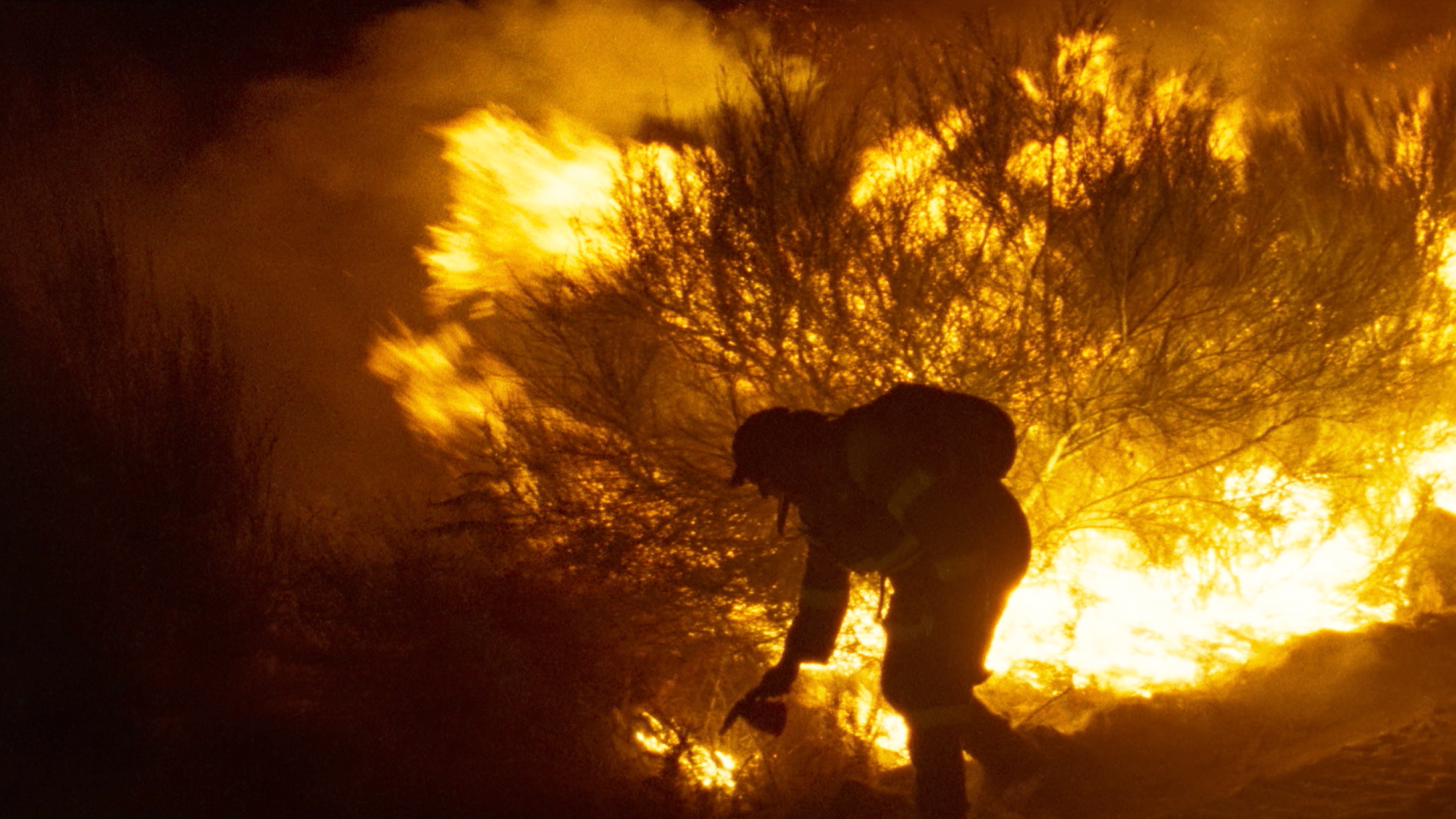 O que arde - Verrà il fuoco di Oliver Laxe