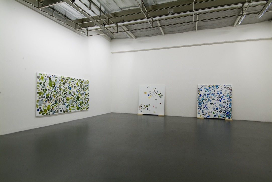 Nessuna paura. Arte dall'Italia dopo il 2000, fotografie di allestimento, 2007