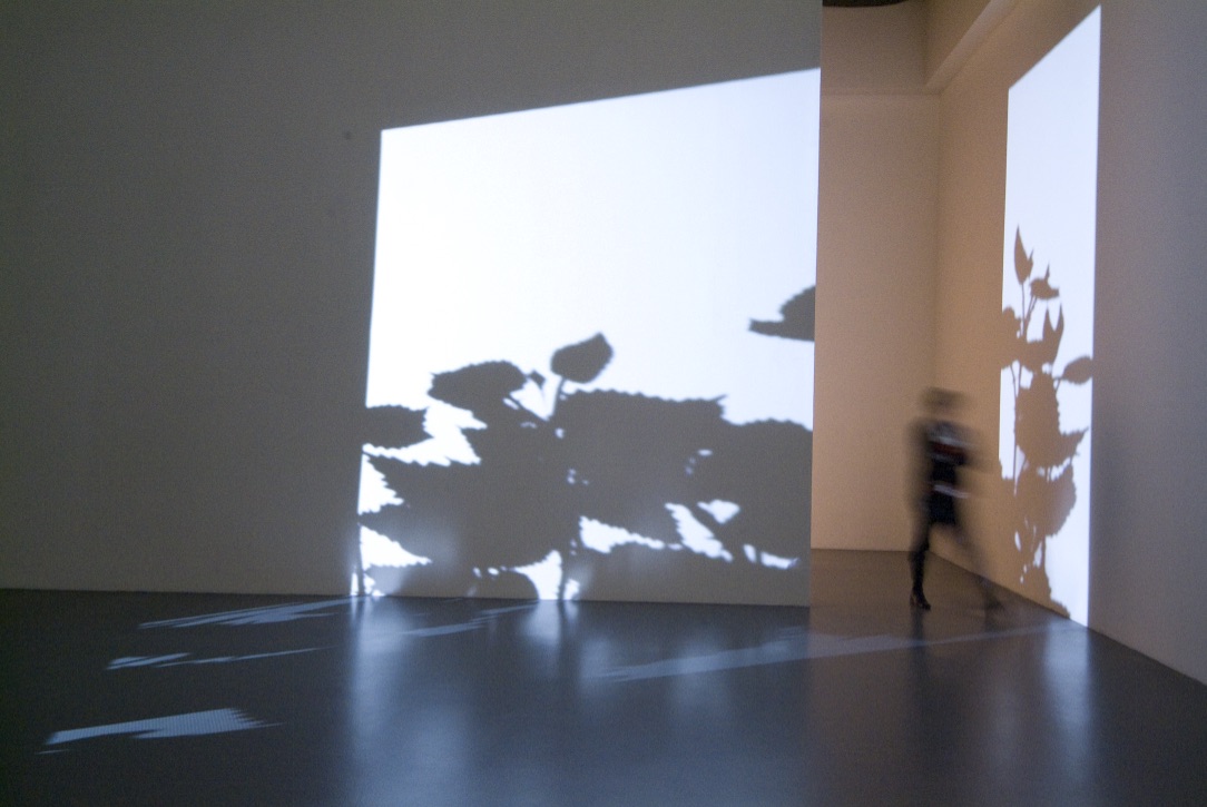 Nessuna paura. Arte dall'Italia dopo il 2000, fotografie di allestimento, 2007
