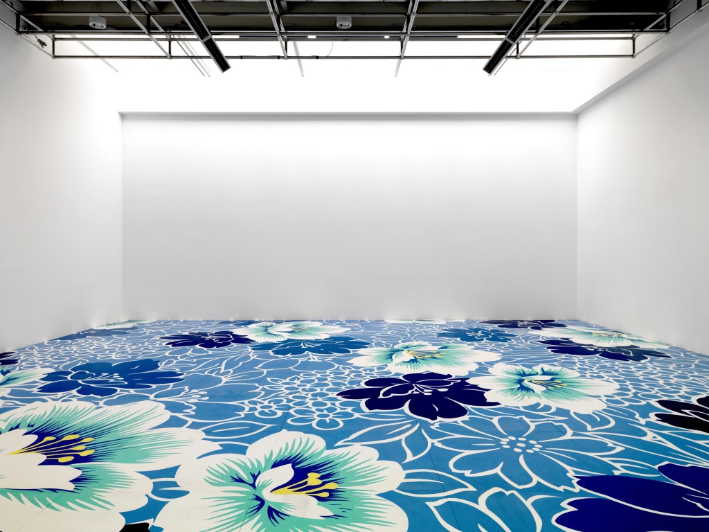 Michael Lin. The Colour is Bright, the Beauty is Generous, fotografie di allestimento, 2010