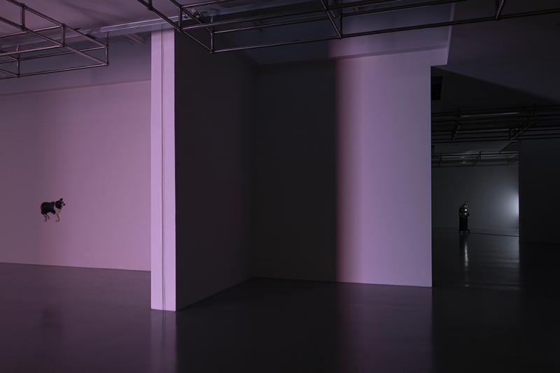 Diego Marcon. Glassa, vedute di allestimento, 2023, ph. Andrea Rossetti