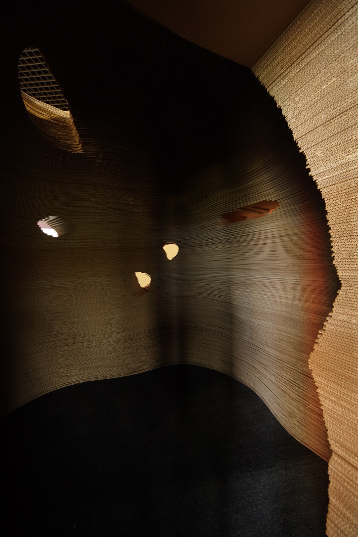 Paolo Parisi. Observatorium (Museum), fotografia di allestimento, 2008
