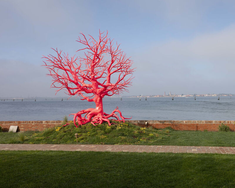 Old Tree (Pink Seas), Pamela Rosenkranz. Ph. Jacopo Trabuio