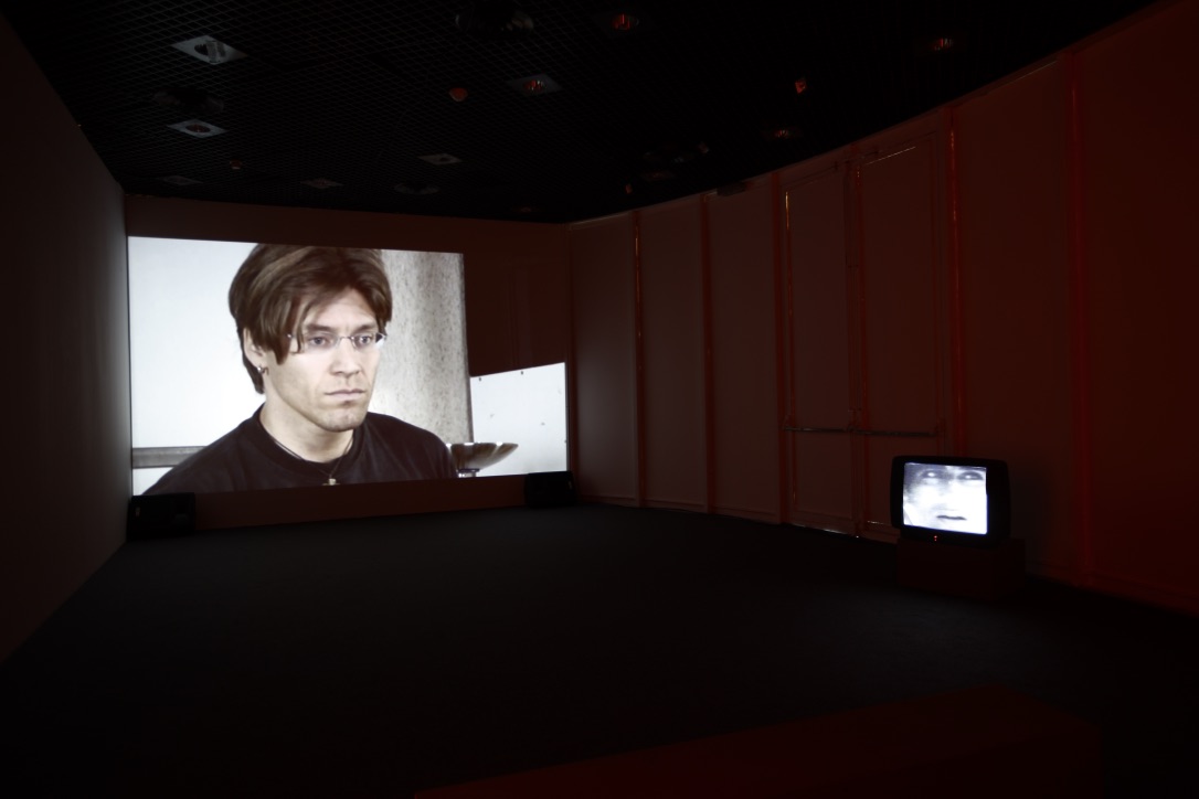 Dani Gal. Seasonal Unrest, fotografia di allestimento, 2009