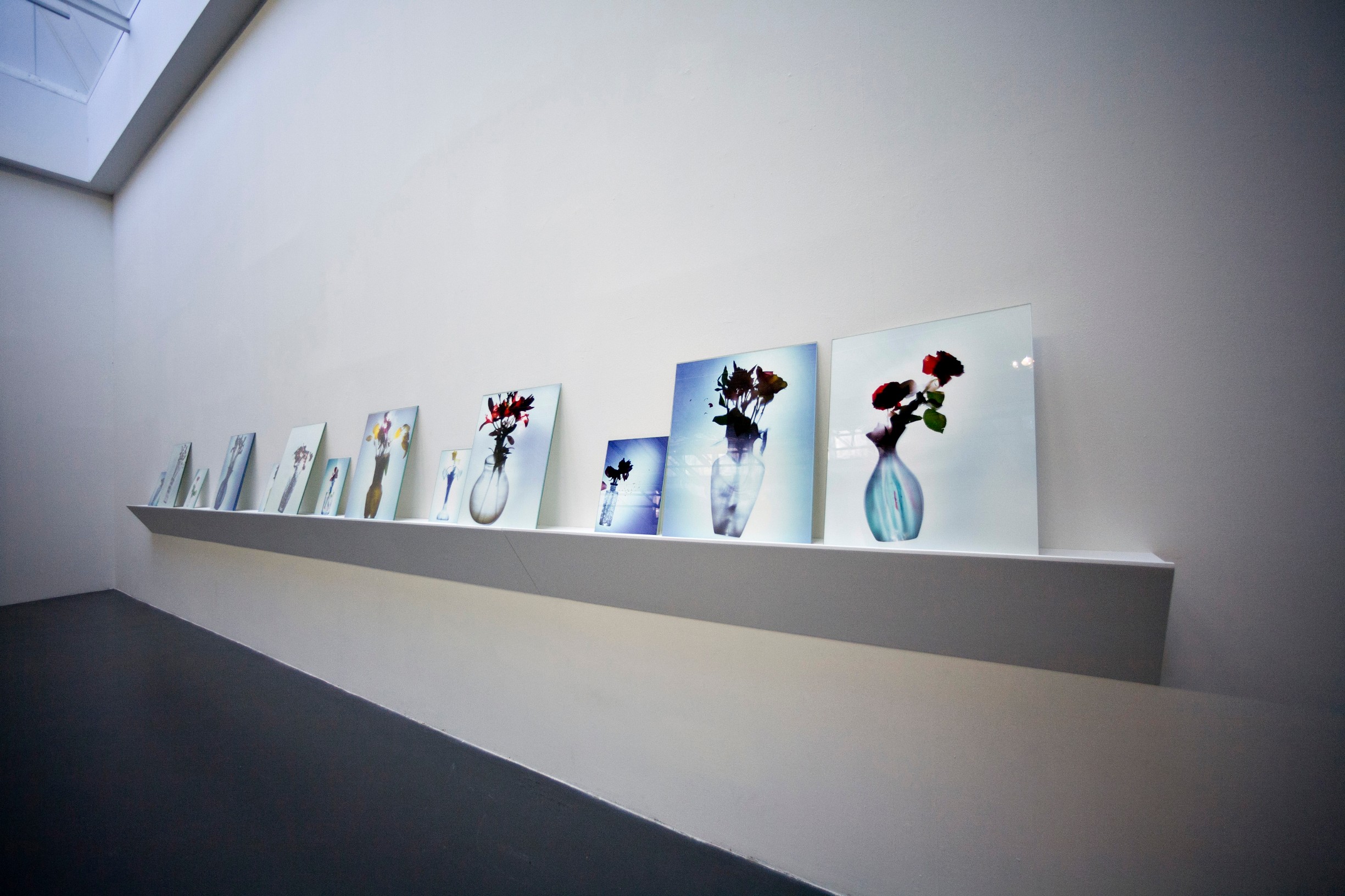 Massimo Barzagli. Grandezza naturale, fotografia di allestimento, 2012