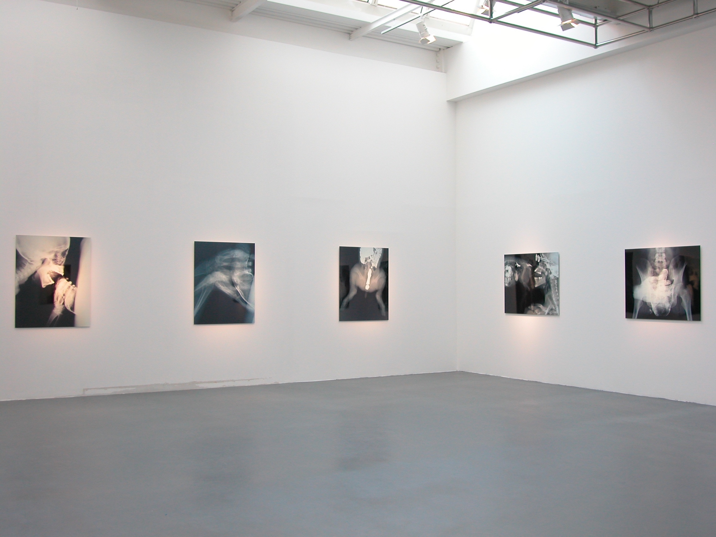 Fotografia allestimento Wim Delvoye. Fabrica 3